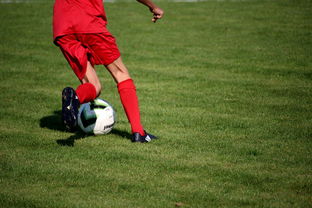 kaiyun中国官方网站-国脚待遇结构调整引导更多球员留在国内发展，国家队国脚